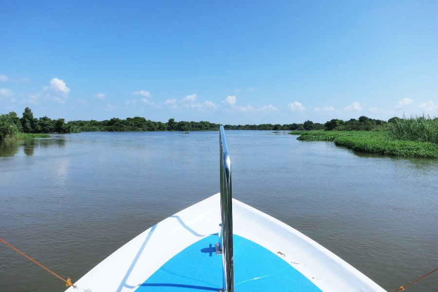 43. 3-hour Muthurajawela.JPG